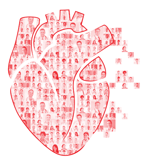 Anatomical Heart